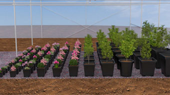 Megatonads Creative Agency